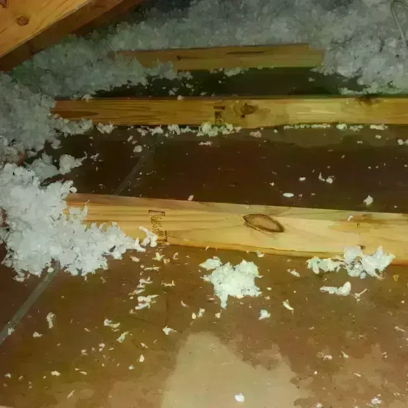 Attic Water Damage in Augusta County, VA