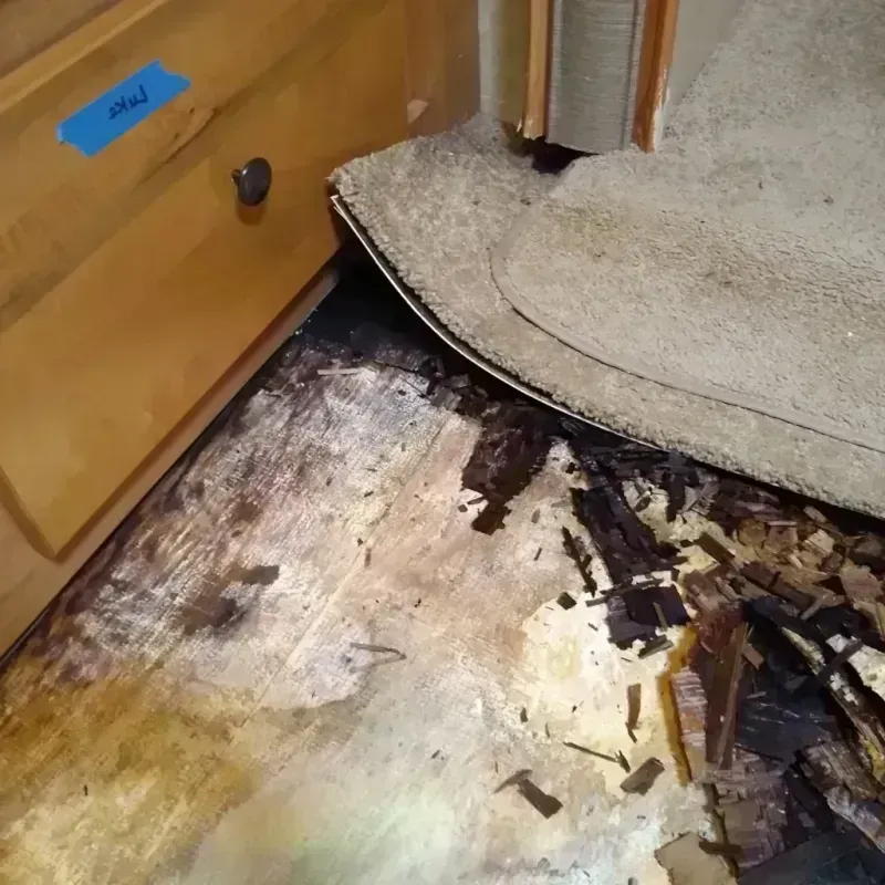 Wood Floor Water Damage in Augusta County, VA